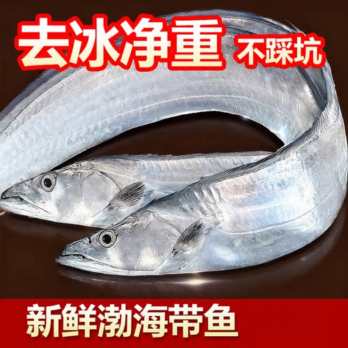 咂摸嘴新鲜渤海特大带鱼