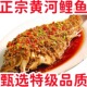 正宗整条红烧黄河大鲤鱼600g熟食真空包装 开袋即食麻辣鲤鱼下酒菜