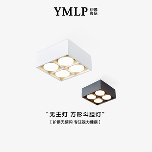 筒灯无主灯客厅照明斗胆灯双头方形盒子卧室吸顶灯 全光谱护眼明装