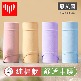女士纯棉抗菌少女学生中腰全棉抑菌收小肚子 女胖mm大码 女式 内裤