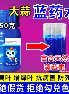 大蒜专用蓝药水干尖黄叶一喷绿防冻大葱韭菜蔬菜通用农用送增效剂