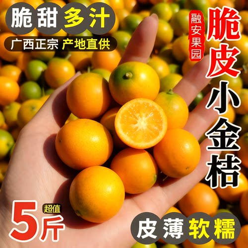 广西融安脆皮金桔正宗官方旗舰店新鲜水果现摘小金柑橘子当季大果