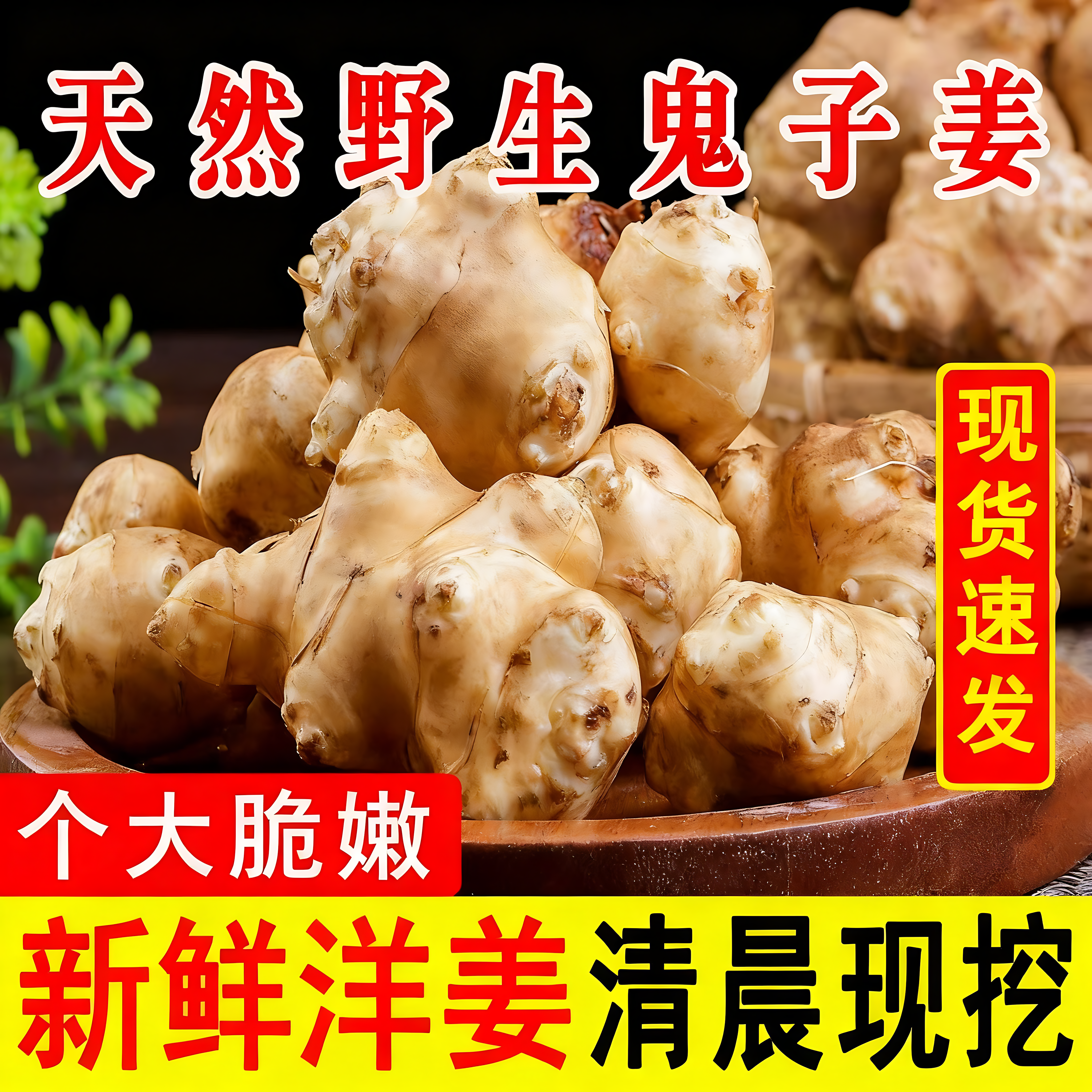 洋姜新鲜现挖腌制泡酱咸菜下饭菜官方旗舰店无添加农家鬼子姜菊芋,水产肉类/新鲜蔬果/熟食,腌制/榨菜/泡菜,淘宝优惠券,粉丝福利购,淘宝优惠卷