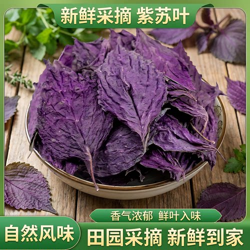 野生特级紫苏叶日晒烘干祛湿