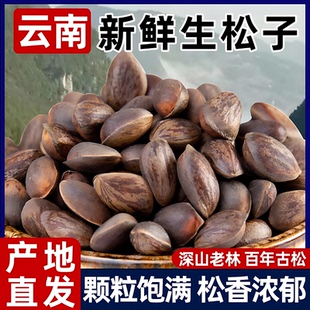 云南新鲜生松子原味大颗粒手剥松仁零食坚果2025新货松树籽非东北