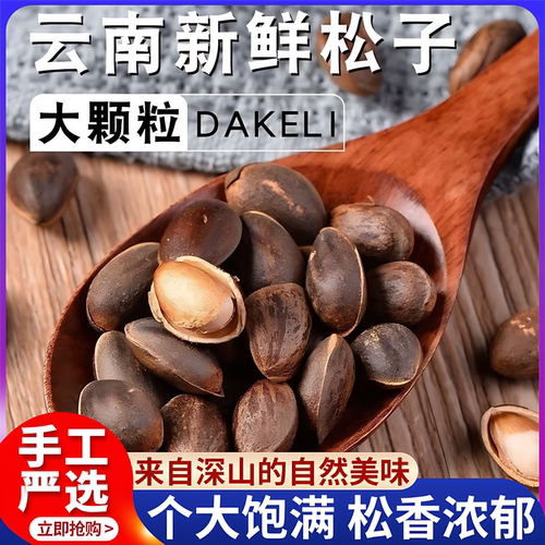 云南深山落水松子500g散装新鲜生的薄皮薄壳新货孕妇大松籽松树坚