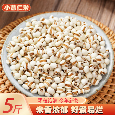 小薏米贵州薏仁米新货 农家新鲜薏米仁搭配赤豆红豆粮油五谷杂粮