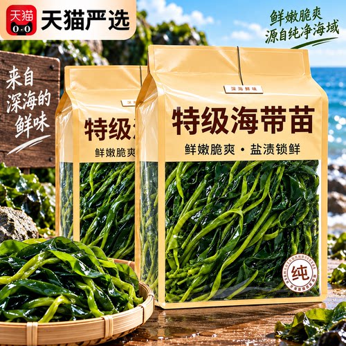 正宗霞浦海带苗旗舰店