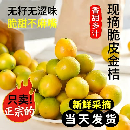 广西融安脆皮金桔正宗官方旗舰店新鲜水果现摘小金柑橘子当季大果