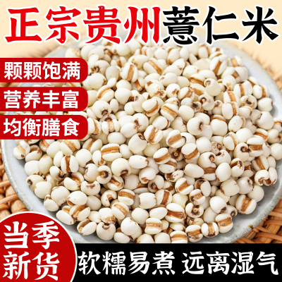 贵州薏仁米新货农家薏米仁新鲜去壳官方旗舰店煲粥粮油五谷杂粮