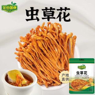 孢子头精选蛹虫草菌菇干货炖汤煲汤火锅 袋 金田国康 虫草花75g