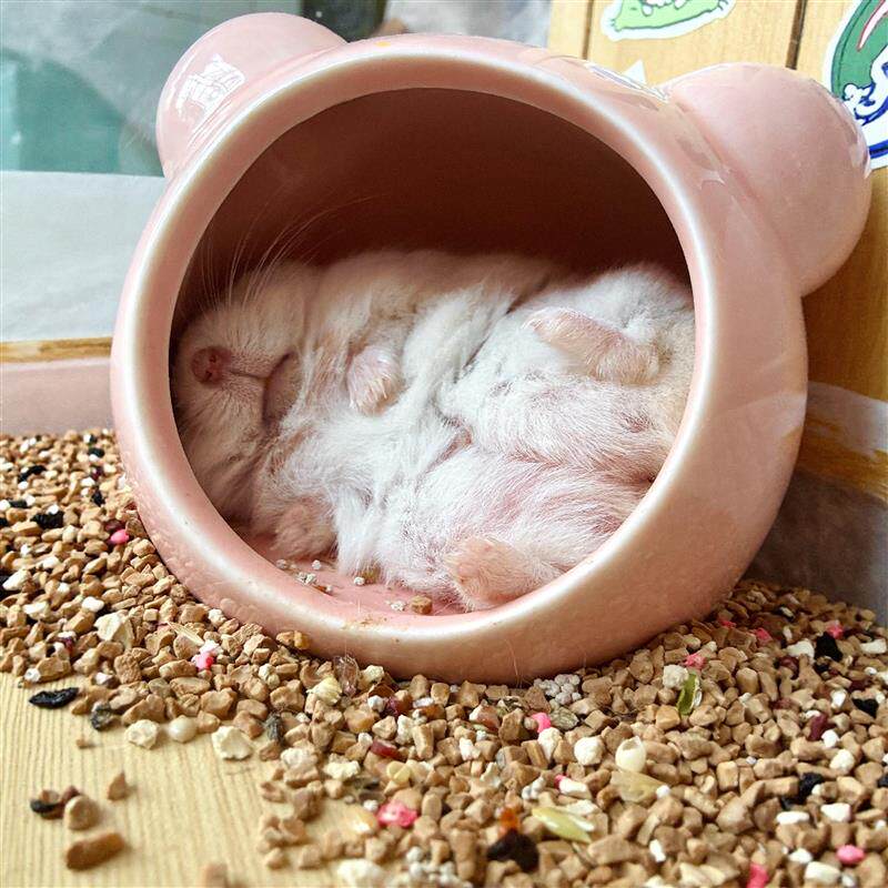 仓鼠躲避屋陶瓷窝冰屋小房子金丝熊蜜袋鼯专用睡窝降温夏天空调房