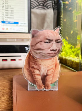 听泉猫寻宝同款摇头摆件嘴脸鉴宝新鲜哥摇摇乐桌面车载电池款搞怪