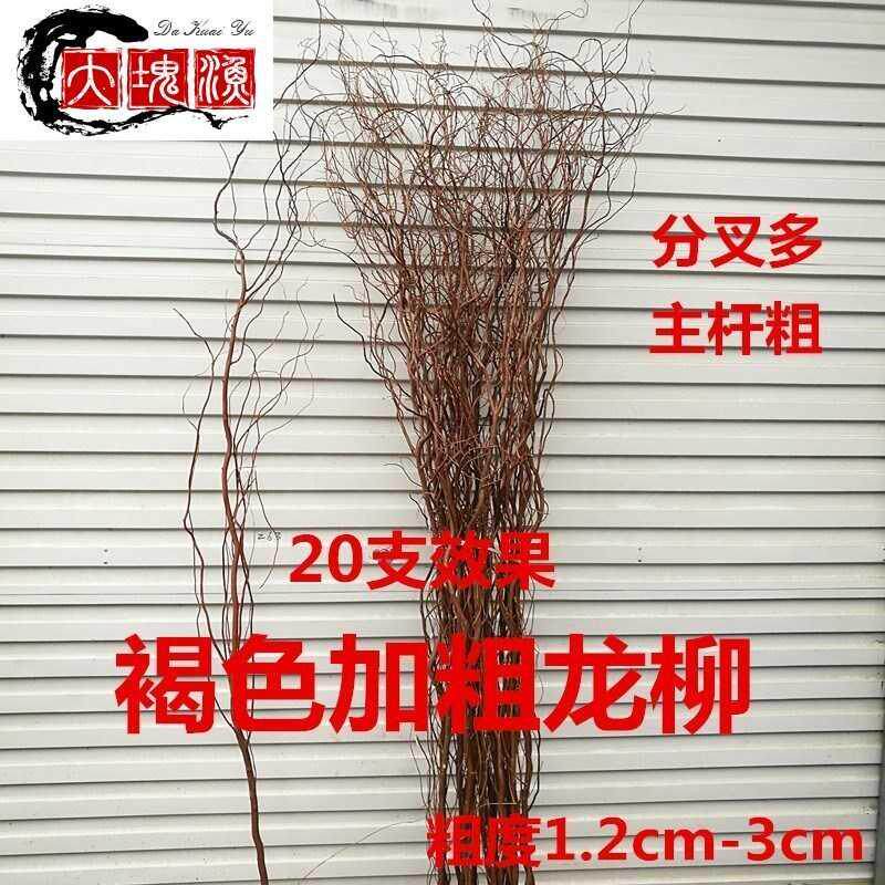 柳枝干花新品柳编条干捧花装饰拱门形手婚庆枝鲜编制枝龙鲜枝手捧