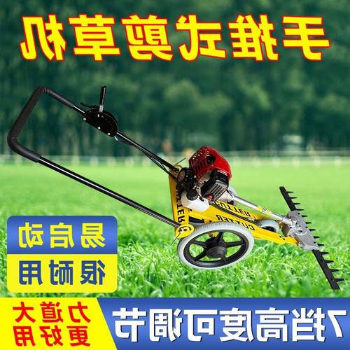 汽油机割草机手推式修剪