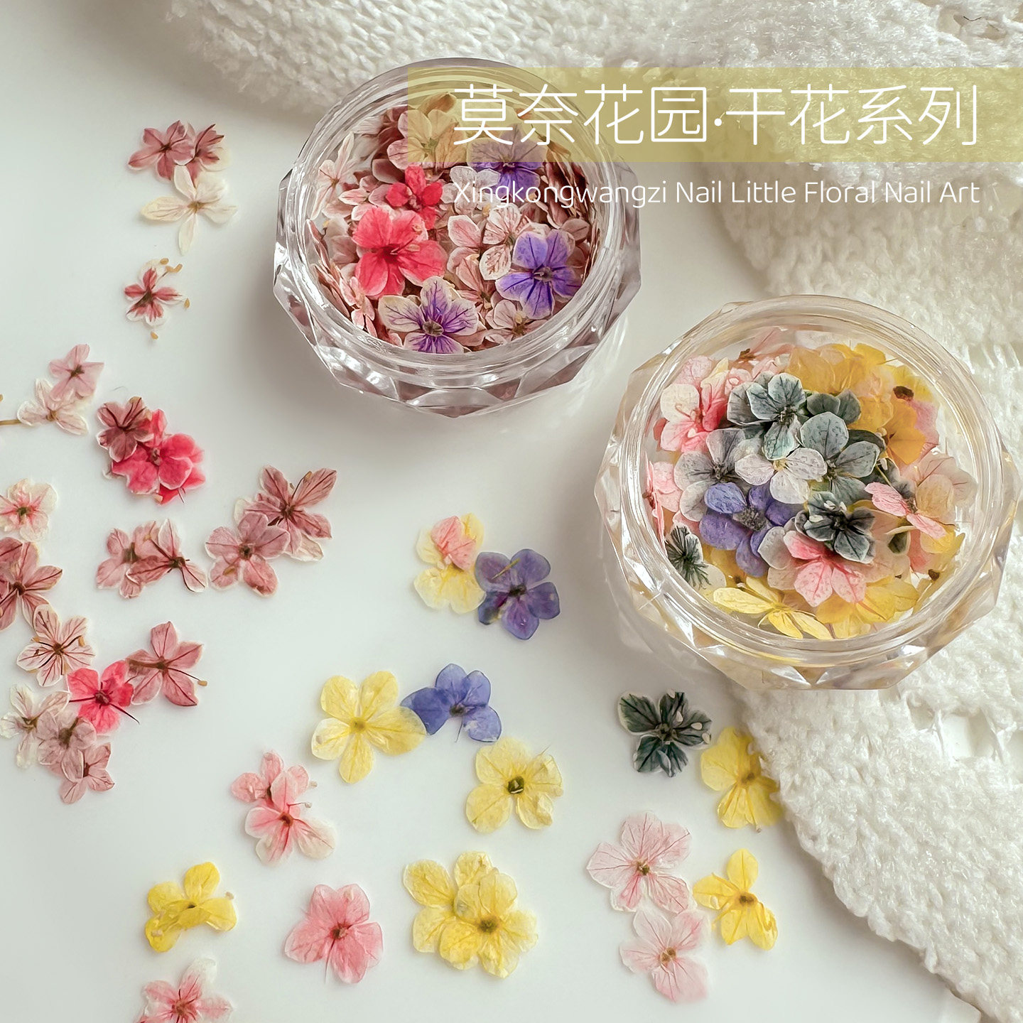 美甲干花素材混装莫奈花园图片