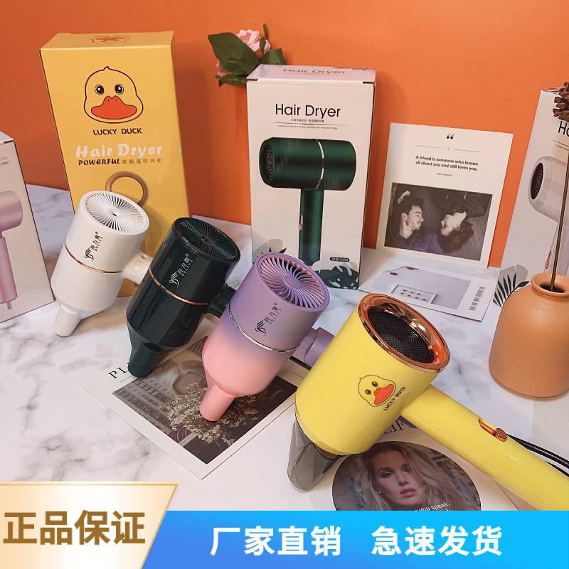 家用吹风机大功率电吹风机宿舍家庭发廊酒店民宿公寓静音吹风