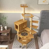 Лестница, Amazon