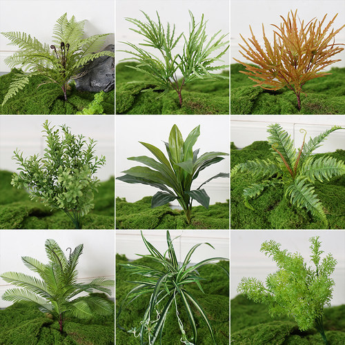 仿真绿植配材装饰单支蕨类小植物
