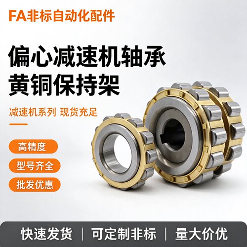 摆线针轮减速机偏心套轴承RN204 205 206 307 309 312 M 带偏心轴