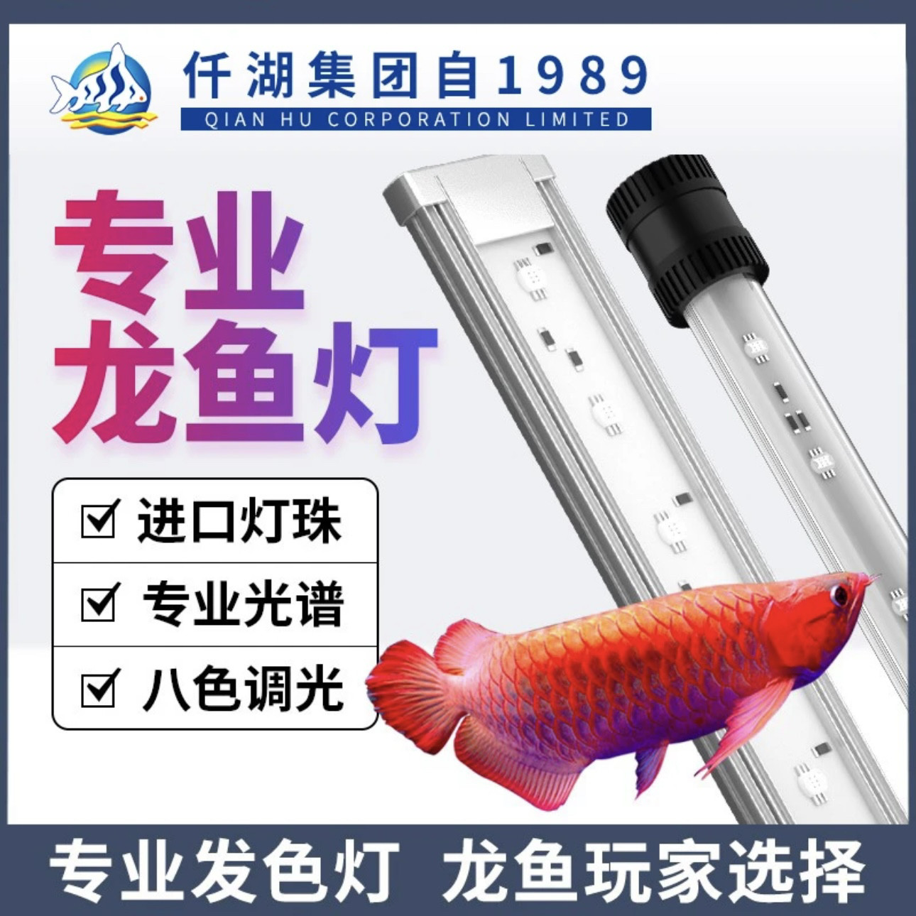 仟湖正品专用灯龙鱼灯图片