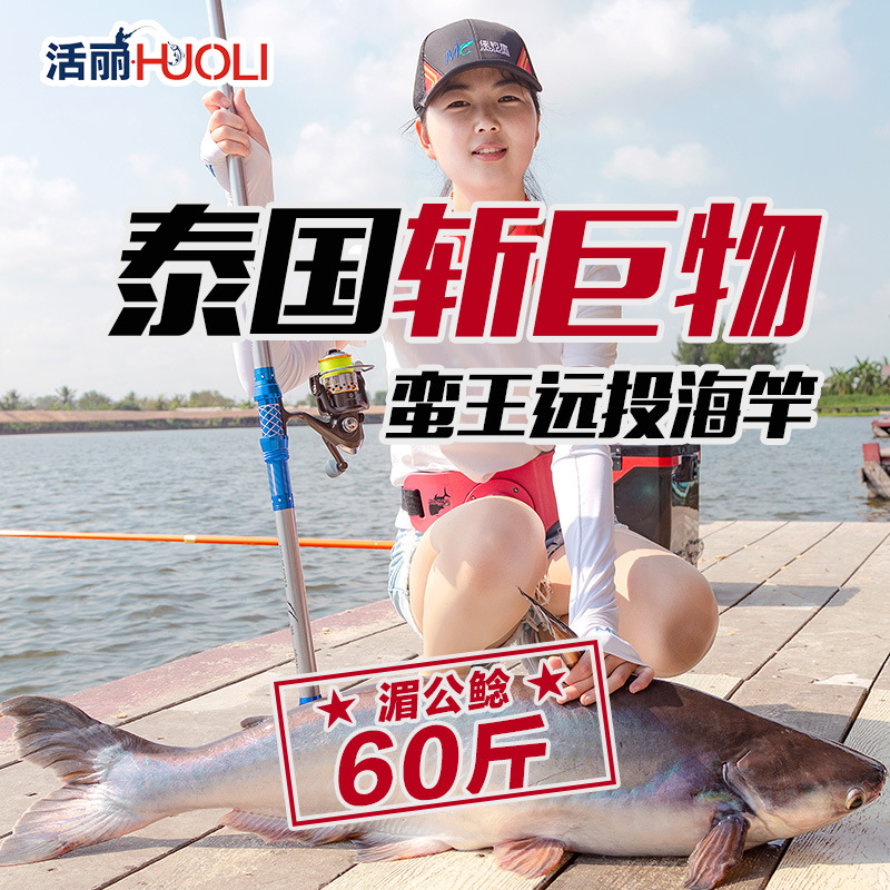 佳钓尼蛮王海竿碳素远投抛竿单竿