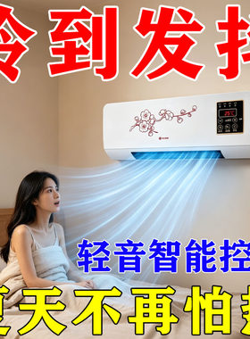 迷你小空调冷风机冷暖两用制冷一体机便携式可移动无需外机免安装