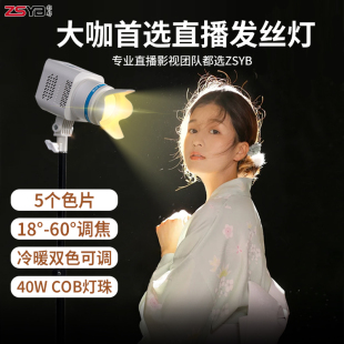 小红书推荐 直播顶灯影邦发丝灯主播专用补光灯头顶聚光灯直播间背景氛围打光灯神明少女美颜射灯led轮廓顶灯
