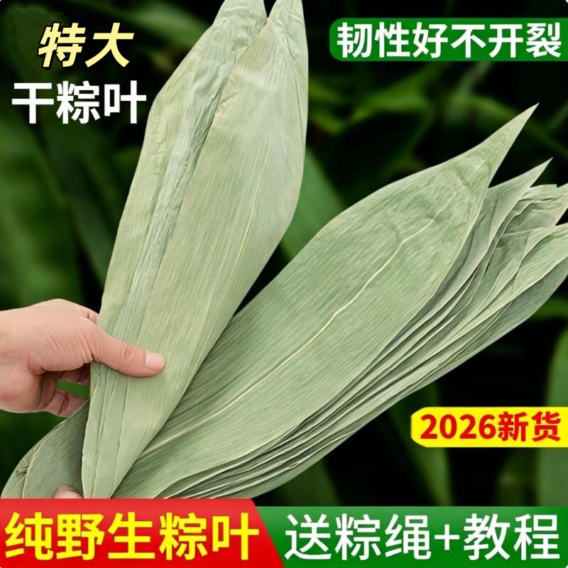 粽叶新鲜干粽叶批发端午节家用粽子纯天然野生竹叶叶子棕子叶商用