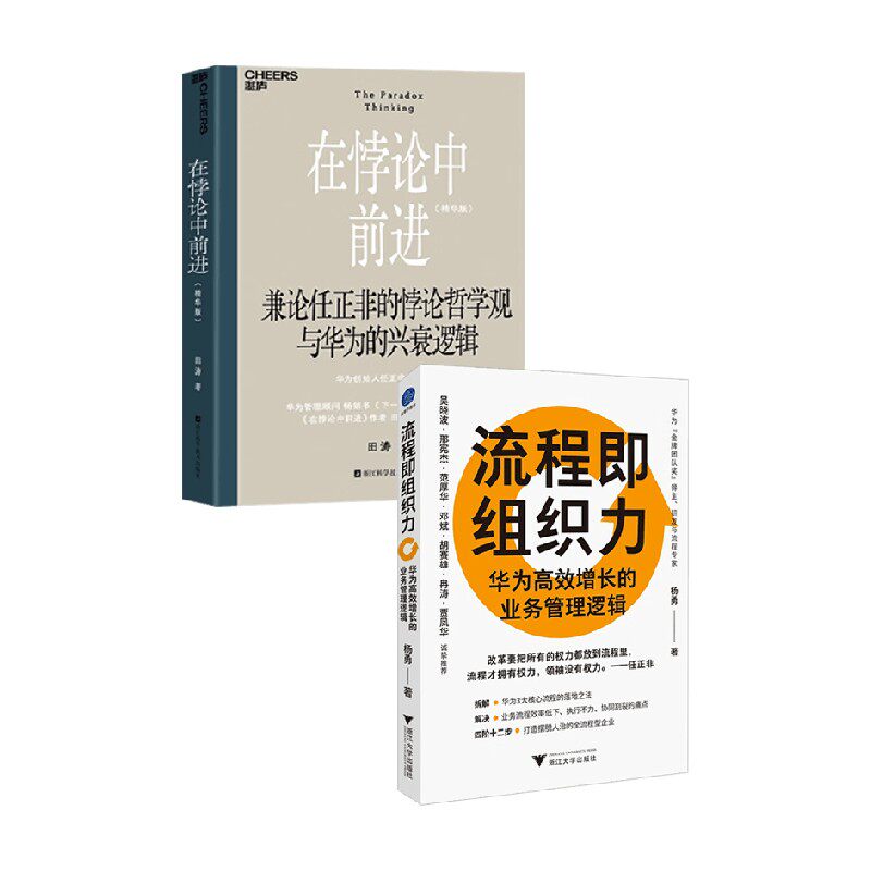 在悖论中前进 流程即组织力 杨勇等 著 管理
