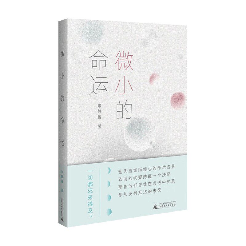 微小的命运 李静睿 著 小说