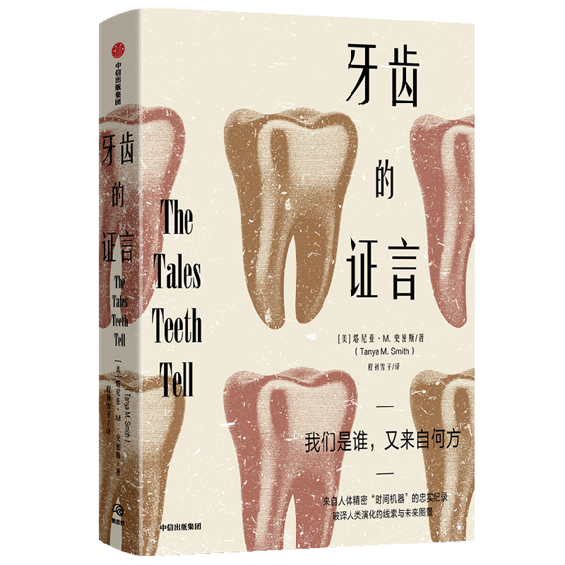 牙齿的证言 塔尼亚M.史密斯 著 科普 中信