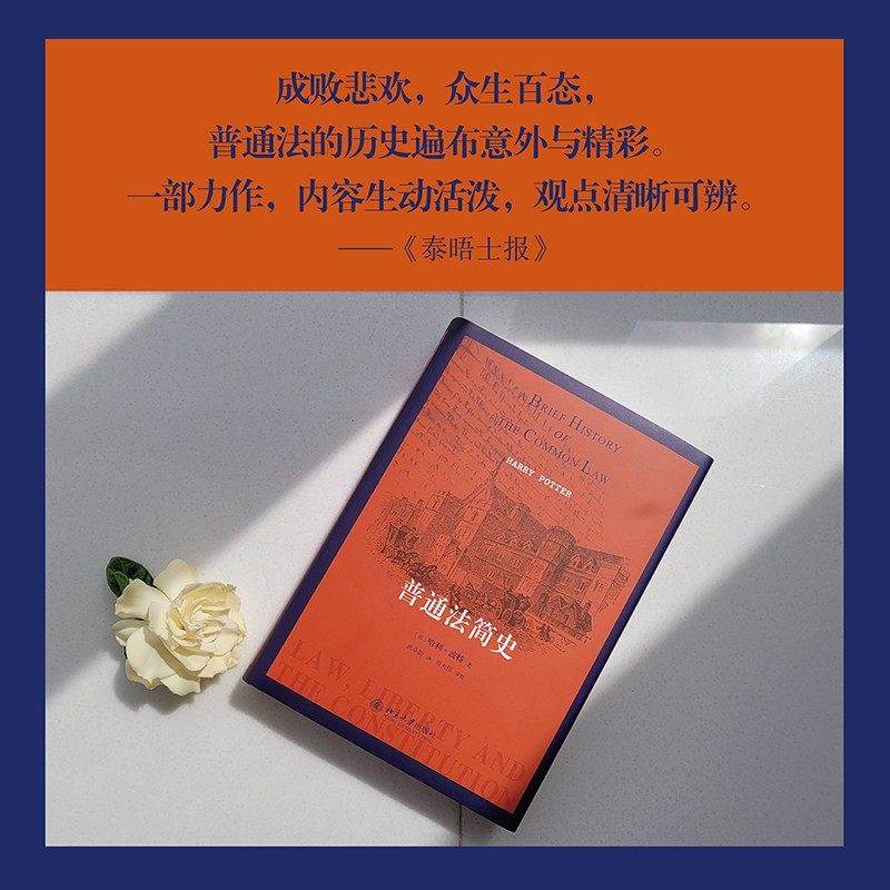 普通法简史哈利·波特法律