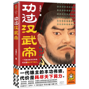 功过汉武帝 王觉仁 著 历史