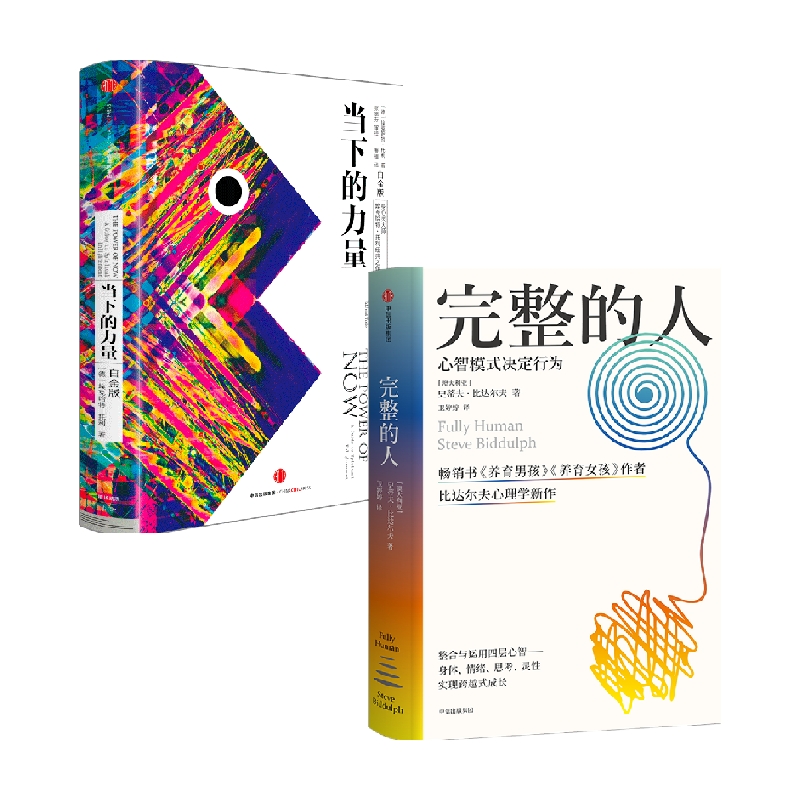 当下的力量 白金版 +完整的人 套装2册 史蒂夫比达尔夫等著 获得完整的内在精神力量与内心的平静