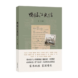 鸭绿江来信 张丁 著 社会科学