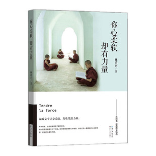 写长篇序言 星云 温暖文字 林清玄 心灵 中国现当代随笔文学 散文精选 毕淑敏 你心柔软.却有力量 余秋雨
