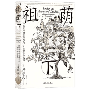 祖荫下传统中国的亲属关系  人格和社会流动 许烺光 著 社会科学