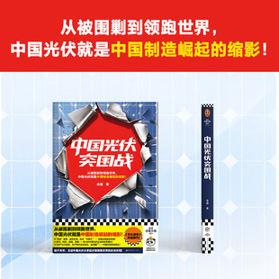 中国光伏突围战 余盛 著 经济