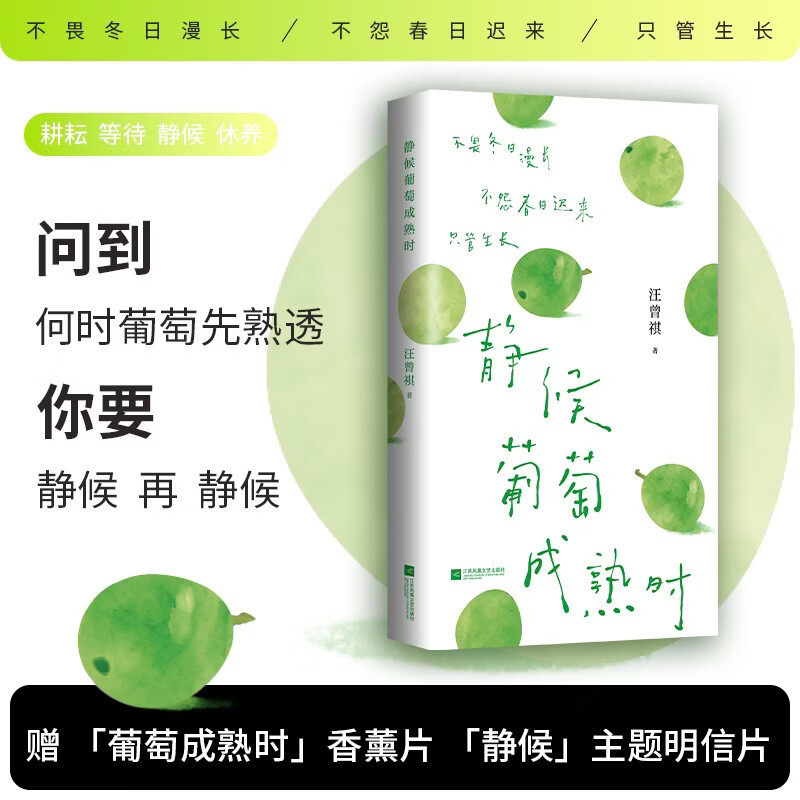 静候葡萄成熟时汪曾祺