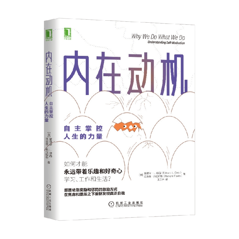 内在动机 爱德华·L.德西等 著 励志与成功