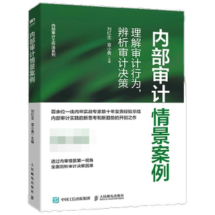 内部审计情景案例 理解审计行为 辨析审计决策 刘红生等 著 经济