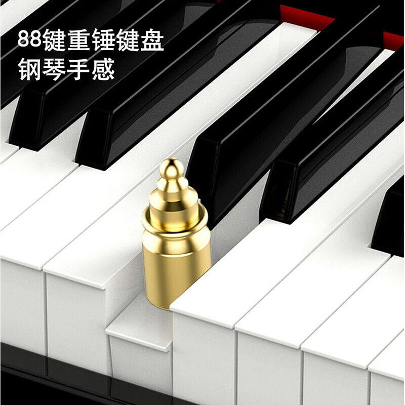 新款LOUDAN电钢琴88键立式重锤专业成人初学者家用幼师属于什么档次？