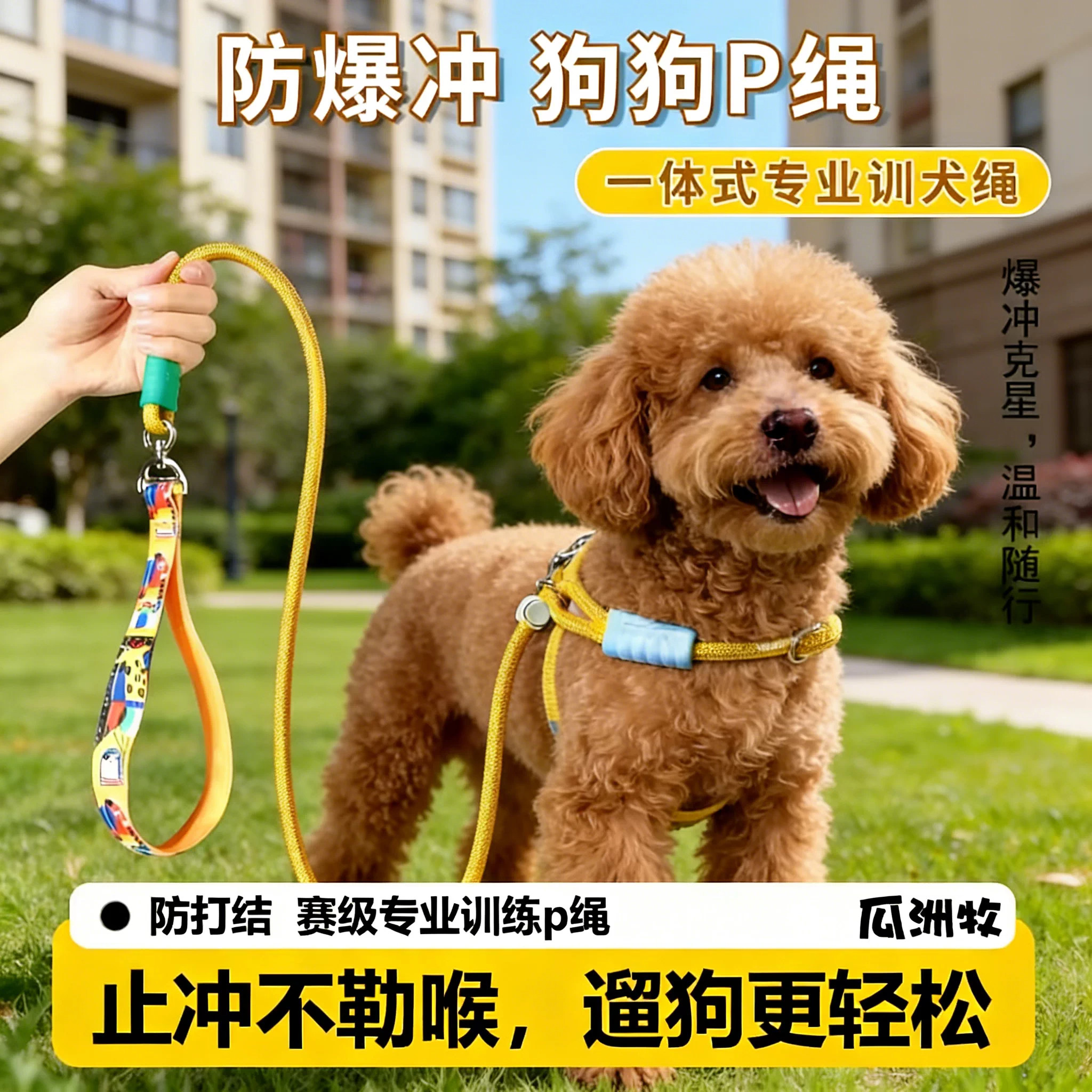 p链p绳狗狗牵引绳遛狗链