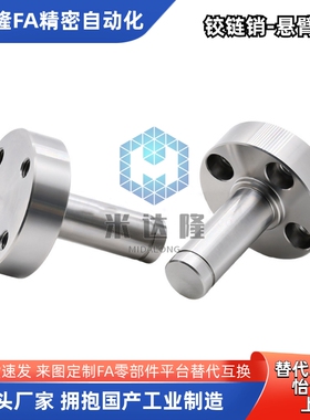 FXFA PFXFA SFXFA FXEA PFXEA SFXEA挡圈槽固定法兰型悬臂销