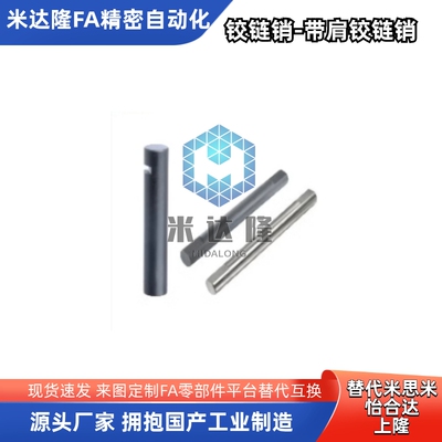 铰链销开口销固定型非标