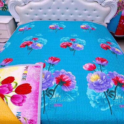 新款高档四季通用床盖两用三层