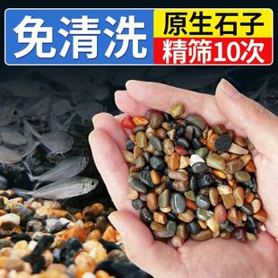 纯天然溪流沙石原生鱼缸铺底石鹅卵石小石头造景装饰底砂龟缸雷龙