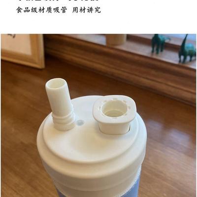 高颜值奶茶随行吸管保温杯316内胆不锈钢少女心可爱便携简约水杯