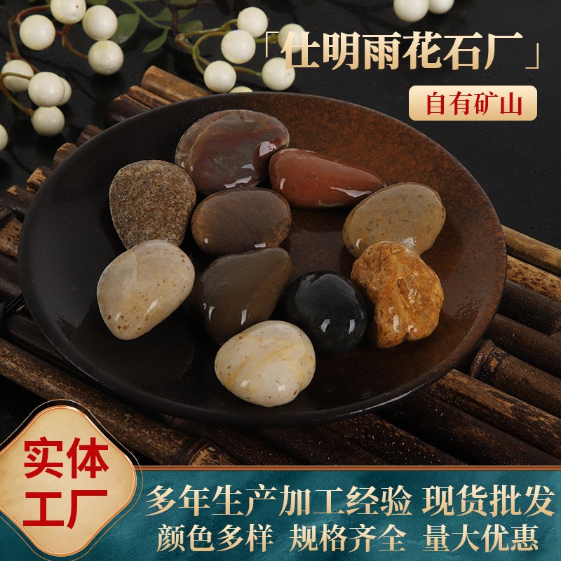 南京雨花石多肉造景石头铺面盆栽花盆庭院铺地鱼缸天然水培鹅卵石